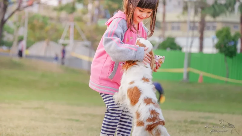 Ein Hund springt an einem Kind hoch